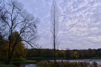 Scenic view of lake in forest against sky
