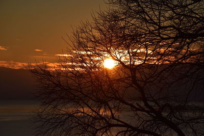 Silhouette bare trees against sky during sunset