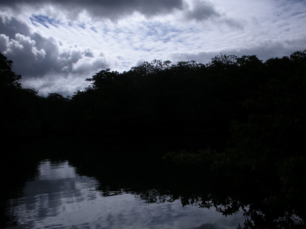 SILHOUETTE TREES BY LAKE AGAINST SKY