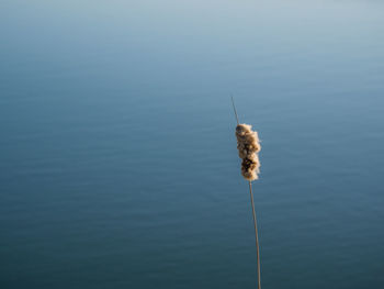 Fishing net on sea against blue sky