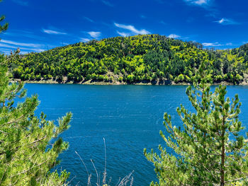 Scenic view of lake in forest against sky