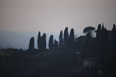 Silhouette trees against clear sky at sunset