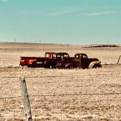 field