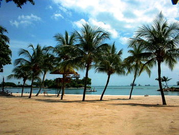 Palm trees on beach against cloudy sky