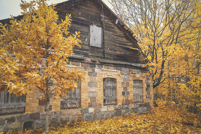 Trees by house