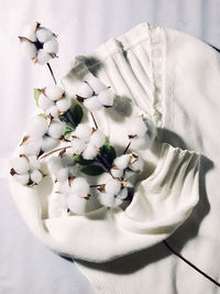 High angle view of white roses