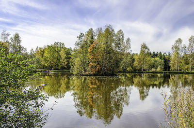 Reflection of trees in lake against sky