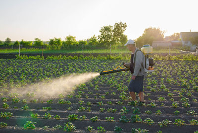 A farmer with a mist fogger sprayer sprays fungicide and pesticide on potato bushes. 