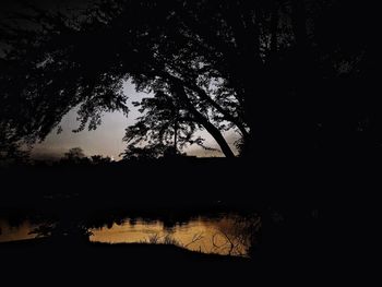 Silhouette of trees in lake during sunset