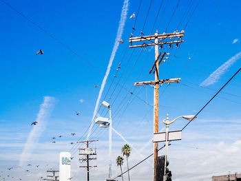 Low angle view of birds flying against clear blue sky