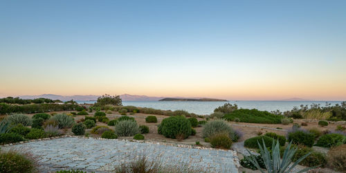 Panoramic view on naxos island from paros island at sunset. typical mediterranean vegetation