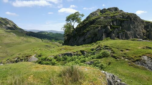 Scenic view of green landscape against sky