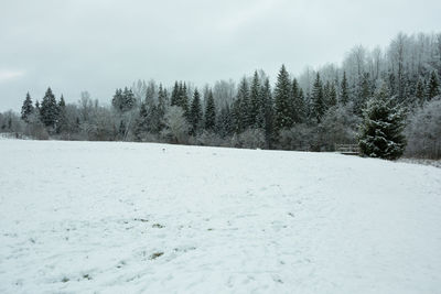 Scenic view of snow covered land against sky