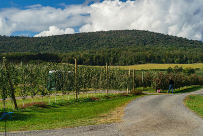 Road amidst field against sky