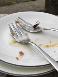 High angle view of ice cream in plate on table