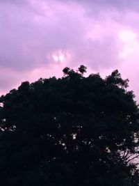 Low angle view of trees against cloudy sky