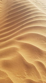 High angle view of sand dune