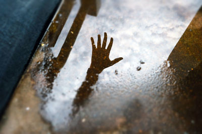 High angle view of human hand on glass