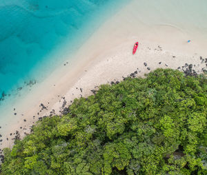 High angle view of plants on beach