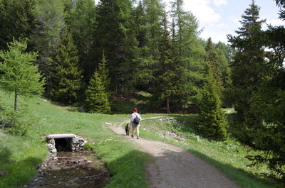 Rear view of woman walking on field with her dog 