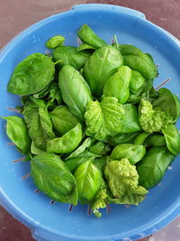 High angle view of vegetables in bowl