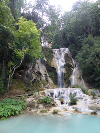 Scenic view of waterfall in forest