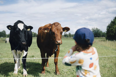 Rear view of boy looking at cows against cloudy sky during sunny day