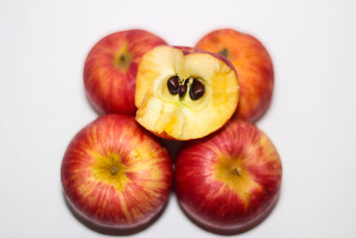 Directly above shot of apples on white background