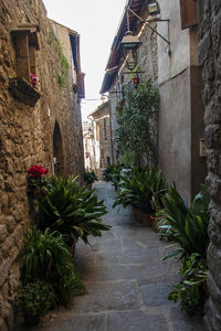 Narrow alley amidst buildings in town