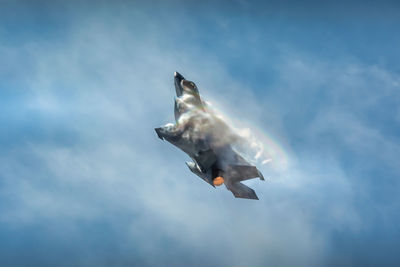 Low angle view of bird flying against sky