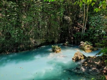 Water flowing through rocks in forest