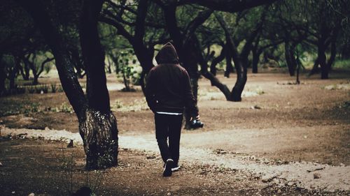 Rear view of man walking on footpath amidst trees