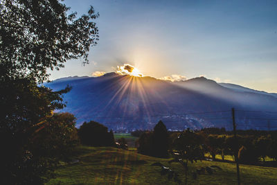 Scenic view of field against sky during sunset