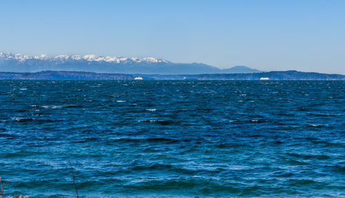 Scenic view of sea against clear blue sky