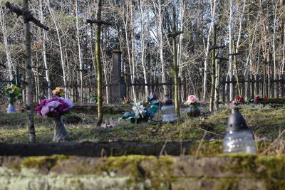 Group of people in the forest