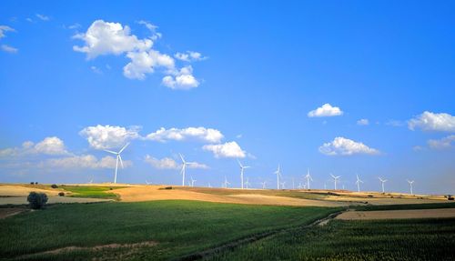 Scenic view of agricultural field against blue sky