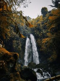 Scenic view of waterfall in forest