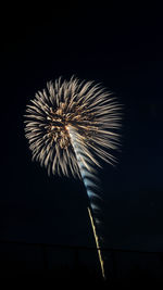 Low angle view of fireworks against sky at night