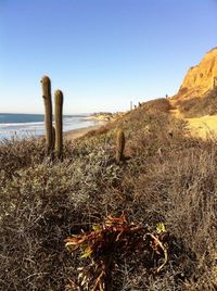 Scenic view of sea against clear sky