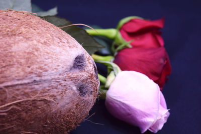 Close-up of pink rose