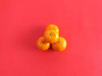 Close-up of orange fruit against red background