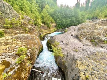 Stream flowing through rocks in forest