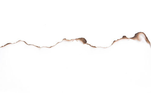 Close-up of paper against white background