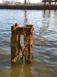 Abandoned boat floating on river