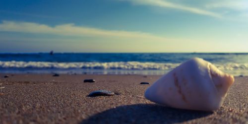 Surface level of pebble beach against sky