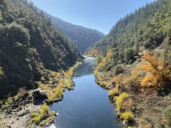 Scenic view of river amidst trees in forest against sky