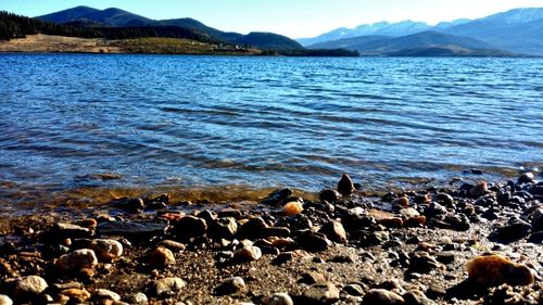 Birds on lake against sky