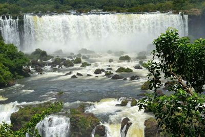 View of waterfall in forest