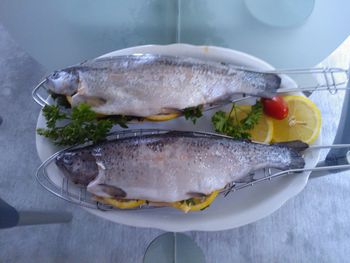 Close-up of fish