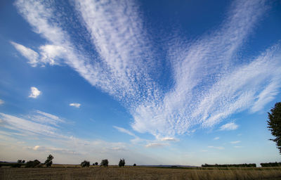 Unusual scenery with cirrus cumulus clouds against the background of fields with trees.